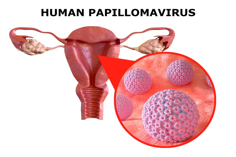 HPV Belirtileri Nelerdir